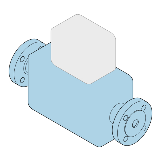 Endress+Hauser Proline Cubemass C Beknopte Handleiding