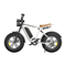 ENGWE M20 Handleiding