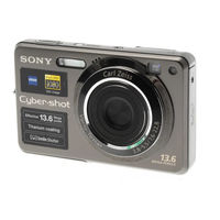 Sony Cyber-shot DSC-W300 Handleiding