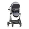 Evenflo Pivot Vizor - Reissysteem met LiteMax Infant Autostoel Handleiding