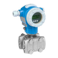 Endress+Hauser Deltabar S FMD77 Handleiding