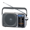 Panasonic RF-2400D - FM-AM 2-Band Ontvanger Handleiding
