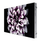 Samsung IW008J, IW012J, IW016J - Eenvoudige handleiding voor displays