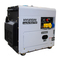Hyundai DHY6000SE, DHY8000SE, DHY8000SELR-T Handleiding
