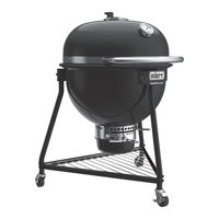 Weber 53735 Gebruikershandleiding