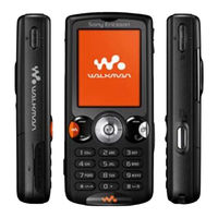 Sony Ericsson W810i Handleiding