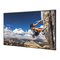 Monitoren NEC MultiSync V654Q Gebruikershandleiding