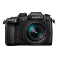 Panasonic Lumix DC-GH5M2 Gebruiksaanwijzing