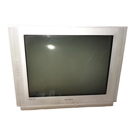 Samsung CW-29A208T Gebruikershandleiding