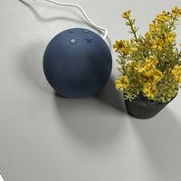Amazon Echo Dot Handleiding Artikel