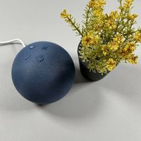 Amazon Echo Dot Handleiding Artikel