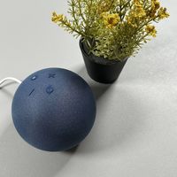 Amazon Echo Dot Handleiding Artikel