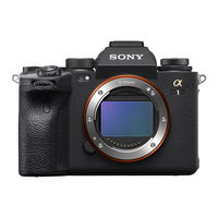 Sony ILCE-1 Helpgids