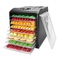 Aroma AFD-915BD - 9-Tray Digital Dehydrator Handleiding
