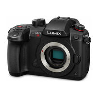 Panasonic Lumix DC-GH5S Gebruiksaanwijzing