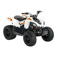 Can-Am DS 90 2019 Gebruikershandleiding