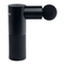 BLACKROLL FASCIA GUN Handleiding