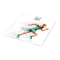 Maxwell MW-2667 - Handleiding digitale weegschaal