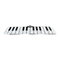 Sharper Image GIANT PIANO MAT Handleiding
