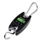 VOLTCRAFT HS-100, HS-300 - Handleiding hangweegschaal