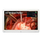 Monitoren LG 27HQ710S Gebruikershandleiding