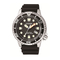 Horloges Citizen E168 Gebruiksaanwijzing