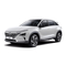 Hyundai NEXO-handleiding