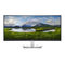 Monitoren Dell P3421W Gebruikershandleiding