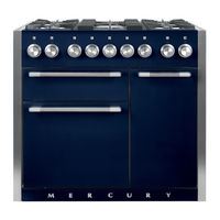 AGA Falcon Mercury 1000 Dual Fuel Gebruikshandleiding En Instructies Voor Installatie