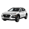Automobielen Hyundai KONA 2021 Instructieboekje