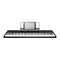 Alesis Recital - Handleiding digitale piano