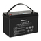 Renogy RBT100LFP12-BT - LITHIUM IRON PHOSPHATE Handleiding