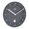 Braun BNC006 DCF - Classic Radio Wall Clock Manual