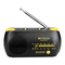 Retekess TR627 - AM FM NOAA Noodradio Handleiding