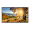 Monitoren NEC MultiSync X754HB Gebruikershandleiding