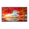 Monitoren Sharp NEC MultiSync M981 Gebruikershandleiding