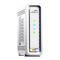 Arris SurfBoard SB8200 Docsis 3.1 Handleiding