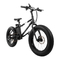 SwagTron EB-6 - E-Bike handleiding