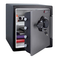 Sentrysafe Fire-Safe Handleiding
