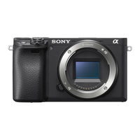 Sony A6400 Snelstartgids