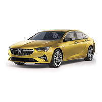 Opel Insignia 2020 Gebruiksaanwijzing