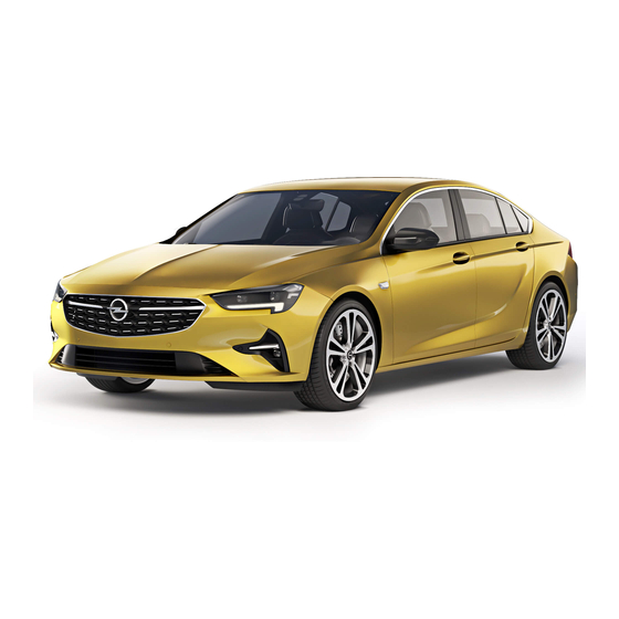 Opel Insignia 2020 Gebruiksaanwijzing