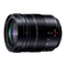 Panasonic H-ES12060 12-60 mm f2.8 - 4.0 Handleiding
