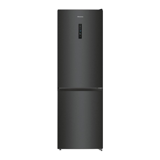 Hisense RB424N4EFC Gebruiksaanwijzing