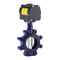 Controle-eenheden Emerson KEYSTONE PED Installatiehandleiding