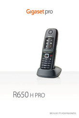 Gigaset R650H PRO Handleiding