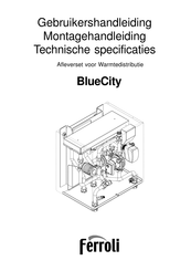 Ferroli BlueCity 400 Compact RVS Gebruikershandleiding