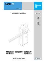 CAME GGT80RGS Installatiehandleiding