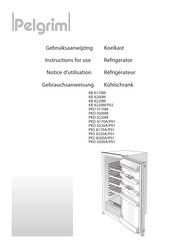 Pelgrim PKS 8170A/P01 Gebruiksaanwijzing