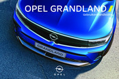 Opel Grandland 2021 Gebruikershandleiding